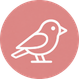 Early bird